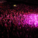 2019.11.23.Follow The Flow Aréna show Fotók:árpika