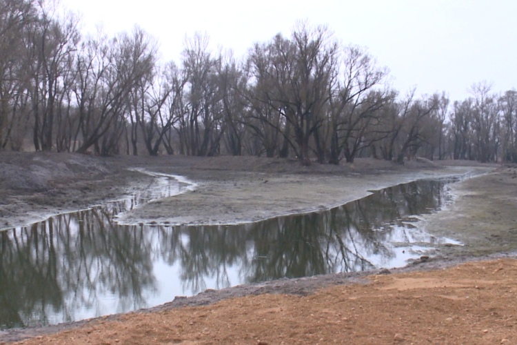 Tovább fejlődik a halgazdálkodás térségünkben