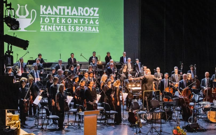 Pályázati felhívás: „Kantharosz a gyermekek jövőjéért, a jövő nemzedékéért”