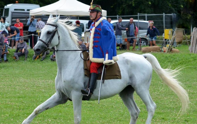 Találkozz a mesebeli állatokkal, a találkozások városában