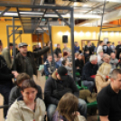 2013.02.16.Szombat Profi MMA És Box Mérkőzés Fotók:árpika