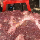 Kuckó Mackó 5. születésnap és jótékonysági evőverseny