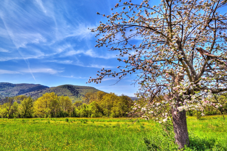 Hétvégén jön a tavasz 