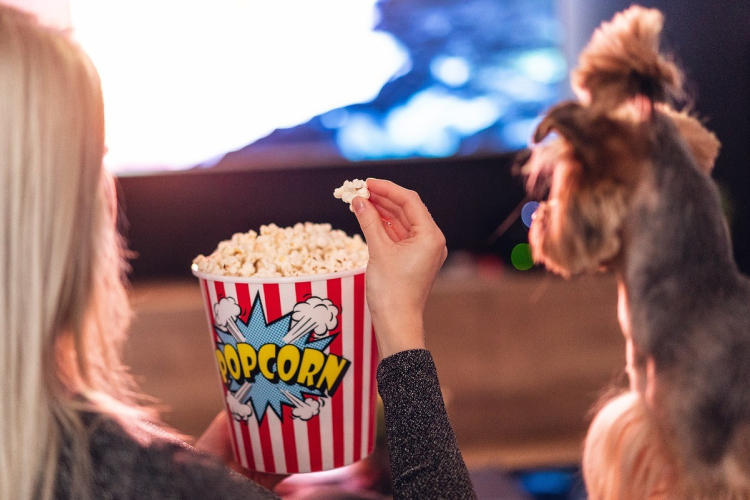 Támogatókat keres a Győri Állatmenhely