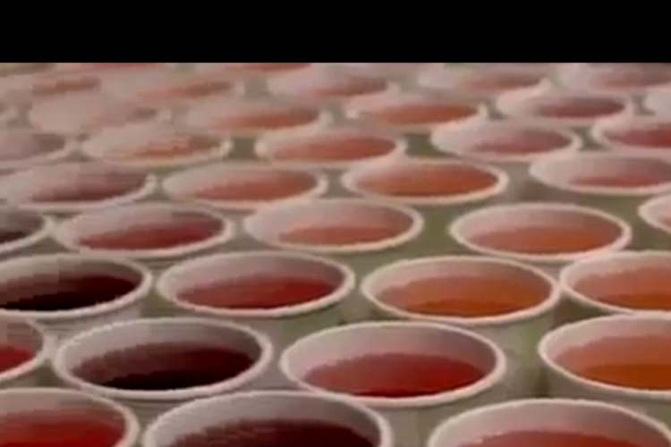 Ezt a videót látnod kell, főleg ha sörös vagy!