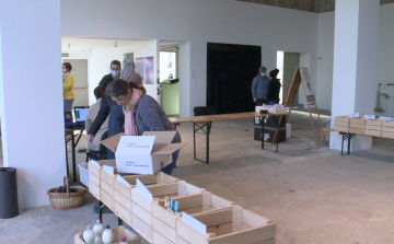 Először rendeztek magbörzét Győrben