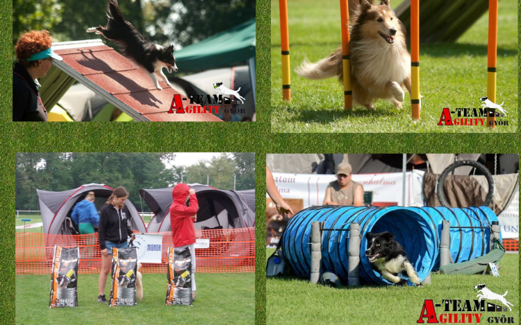 IV. Szigetköz Agility Kupa