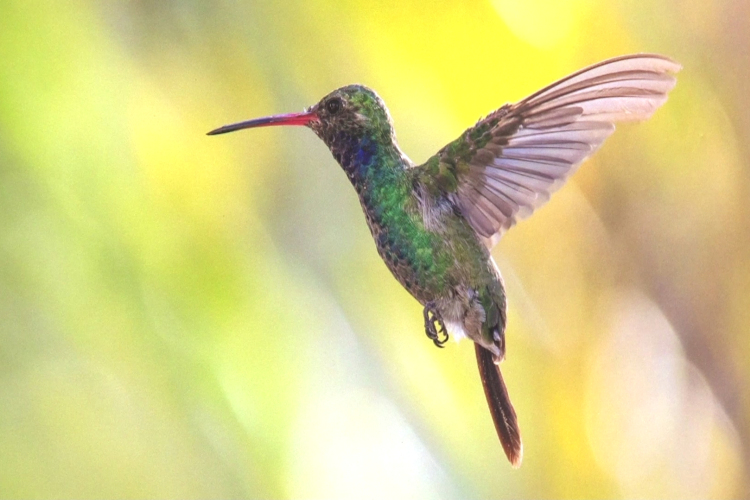 Hatvanöt év képei a falakon