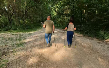 Séta az orvossal Győrben is