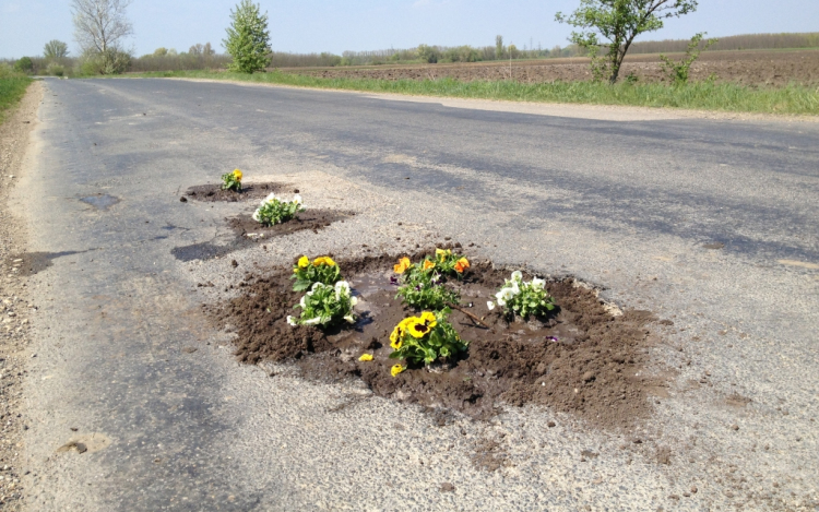 Virágot ültettek a kátyúkba!