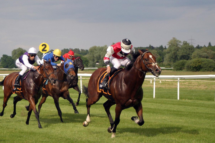 Érdekességek a lóverseny fogadás világából