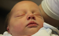 Szabó Mihály Donát 