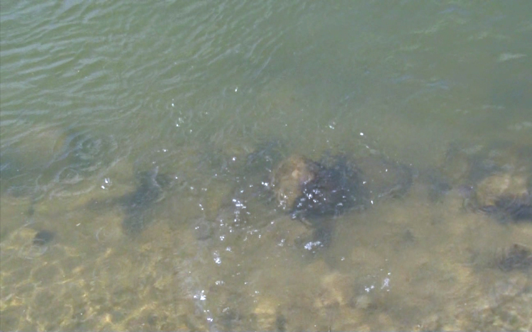 Spóroljunk a vízzel!