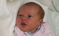 Nemes Szabina Zsuzsanna 