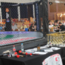 2018.04.28. WHB Amatőr MMA magyar kupa és Bothúzó bajnokság Fotók:árpika