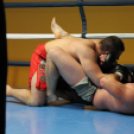 2013.02.16.Szombat Profi MMA És Box Mérkőzés Fotók:árpika