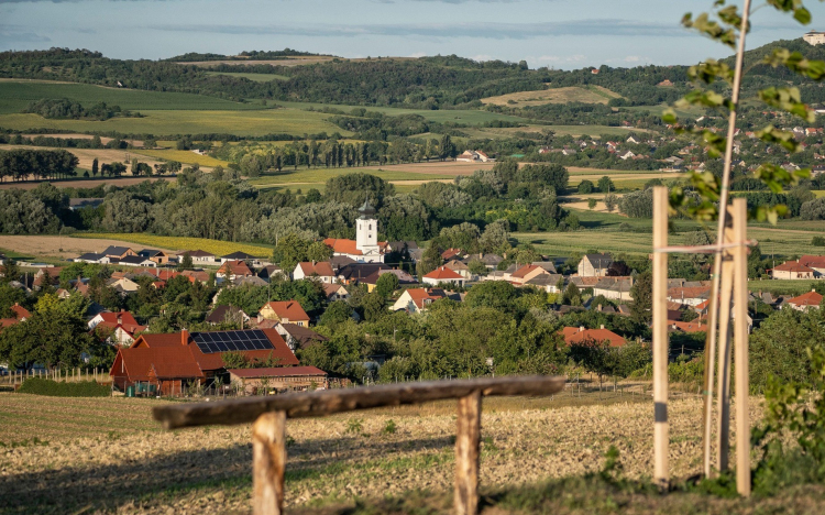 Ismét önálló hivatala van Écsnek