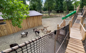 Kalandösvényen az állatsimogatóba