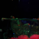 Club Vertigo - 5 Years Gone w/ Sterbinszky 2013.03.16. (szombat) (1) (Fotók:Vertigo)