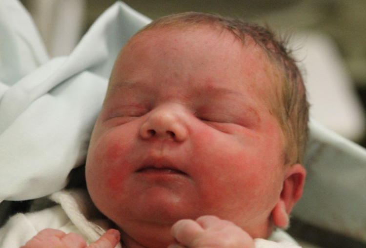 Kovács Nimród Gábor 