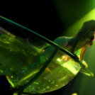 Club Vertigo - 5 Years Gone w/ Sterbinszky 2013.03.16. (szombat) (2) (Fotók:Vertigo)