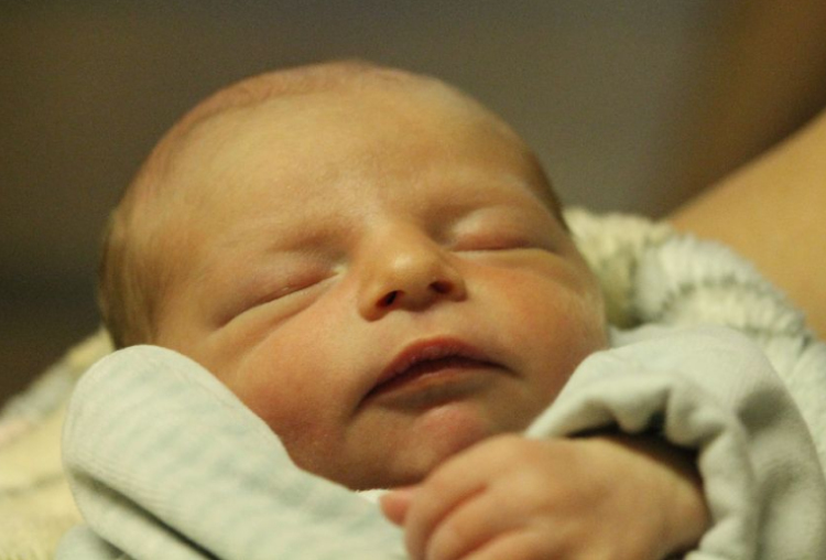 Molnár Botond Dávid 