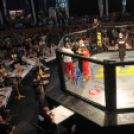 2015.05.09. Profi MMA Gála fotók:árpika
