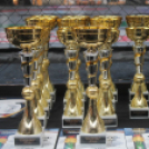 2018.04.28. WHB Amatőr MMA magyar kupa és Bothúzó bajnokság Fotók:árpika