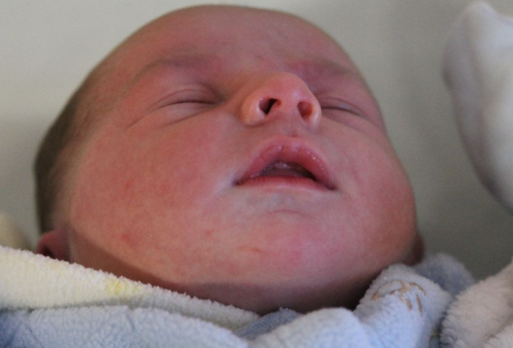 Horváth Nimród Hunor 