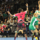 2017.11.17.Győri Audi Eto Kc- Brest Breategne női Bl Kézilabda mérkőzés Fotók:árpika