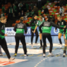 2017.11.17.Győri Audi Eto Kc- Brest Breategne női Bl Kézilabda mérkőzés Fotók:árpika