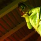 Club Mundo -  Made in Ibiza Show Sci-Fi 2013.05.18. (szombat) (1) (Fotók:Vertigo)