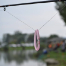 IV. Győri Szuperinfó Családi Piknik és Amatőr Horgászverseny Fotó: Novák Attila