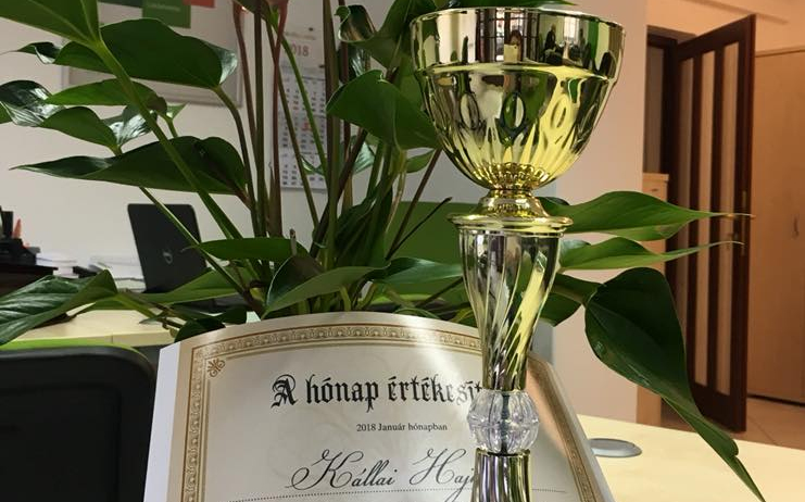 A hónap értékesítője Kállai Hajnalka
