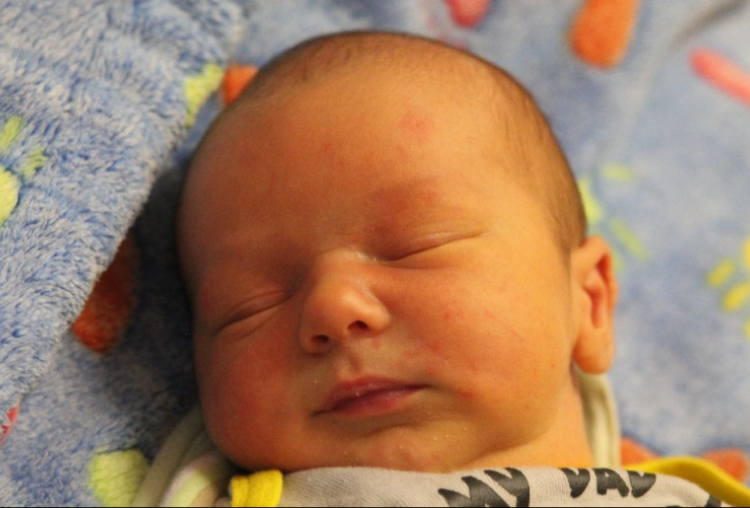 Hollós Balázs János 