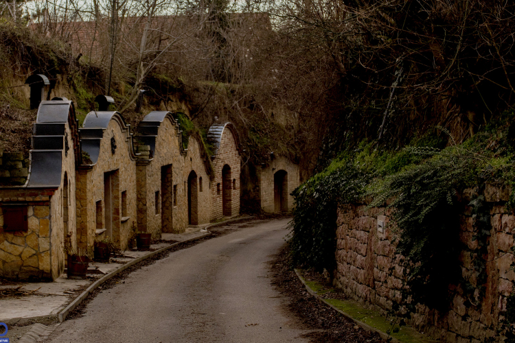 Vince-napi pincejárás a Pannonhalmi Borvidéken