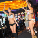 2016.11.19. Szombat Casino Win Győr Férfinap Fotók.árpika