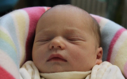 Sáringer Petra Hanna