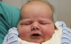 Szalay Dávid Tamás