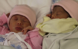 Szalai Elizabett és Szalai Zoé 