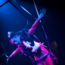 Club Vertigo -  Sterbinszky 2013.11.23. (szombat)