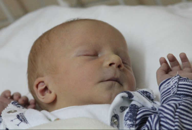 Székely Álmos Ferenc 