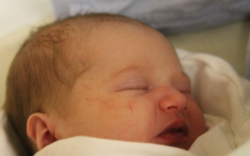 Gyöngyösi-Horváth Zselyke