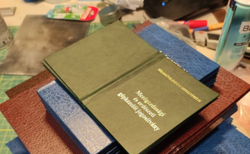 Okmányhamisító testvérpárost fogtak el Győrben