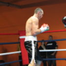 2013.02.16.Szombat Profi MMA És Box Mérkőzés Fotók:árpika