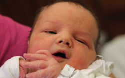 Gyenge Nimród Koppány 