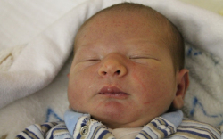 Boros Barnabás   -2013 első babája-