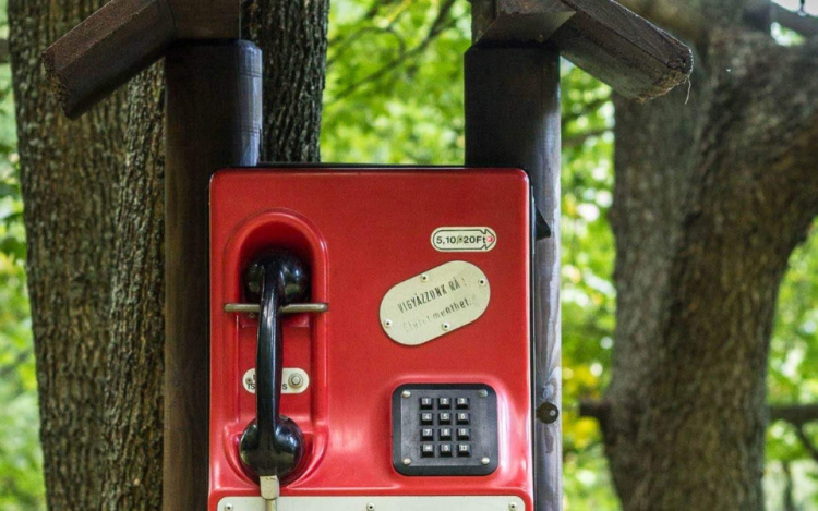 Tárcsázd fel az erdőt versekért