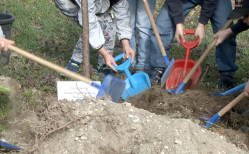 Tízezer fát ültetnek idén a Településfásítási programban