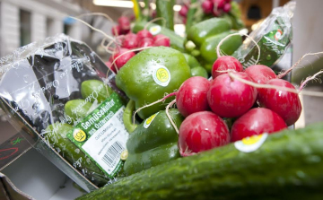 Mezőgazdasági üzemeket állítana át a biogazdálkodásra Bécs 